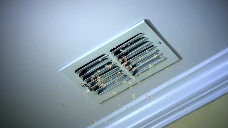 Best Air Duct Cleaning Near Me  in Rmichael, CA